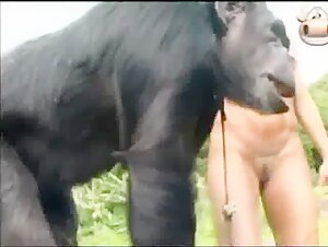A shocking and exciting story of zoophilia