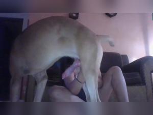 Canine obsessions: Bestiality orgy