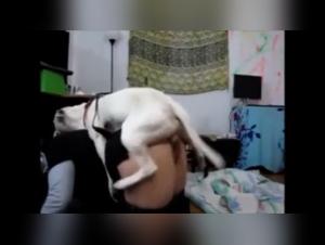 TikTok x Dog - Will No Longer Be Relative
