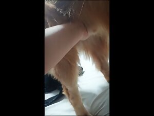 Animal Porn: Passion and Bestial Debauchery