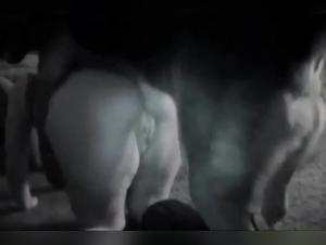 Tierherrschaft: Frauen bieten Unterwerfung an