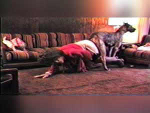 Immersion in a Forbidden Sex: Dog and Woman, Brutal Desire