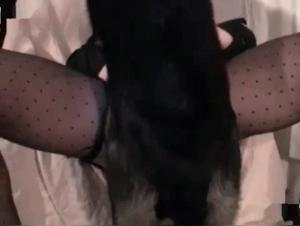 Canine Delights