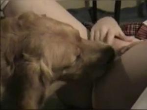 Veronica: his raw passion for the Dog Lick Zoo