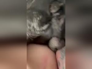 Exploring Obscene Delights: Dog vs. Unreasonable Woman