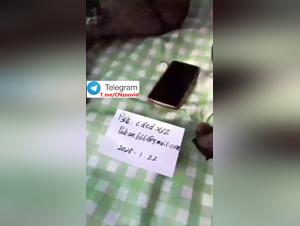 Forbidden Scenes: Asian Women & Dogs in Incandescent Passion