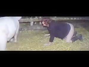 An intense and extreme bestiality video