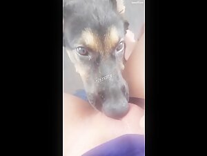 Hardcore Sex Scene with a Dog