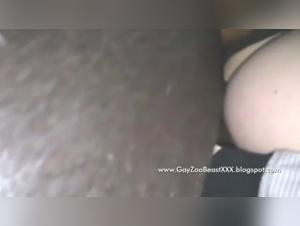 Pt.1: Female Submission to the Horse