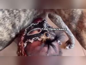 Bestialité Hardcore : La Salope Subit le Pénis du Chien
