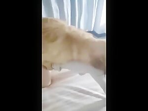 Bestialidad extrema: un video impactante
