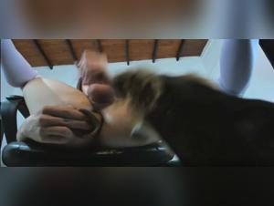 Sado-Zoophilia with a Young Tranny and her Fiery Dog