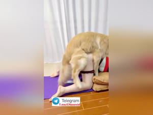 Explore the dark side: Women and Dogs in a sulphurous dance.