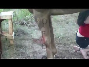 Video de zoofilia: un encuentro inesperado entre una mujer y un caballo