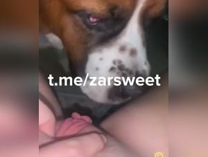 Discover the unhealthy thrill of animal sex and its dirty impulses