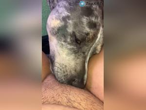 Let go of your inhibitions, explore animal pleasure with this wild slut
