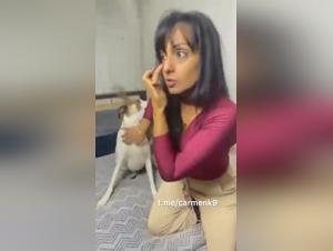Explore dog sex taboos