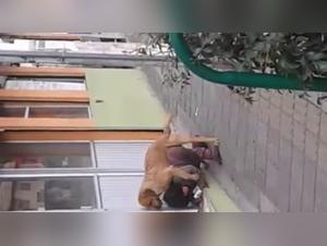 Knott: Sodomized in Plain Sight