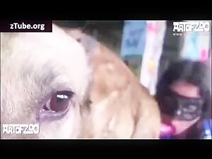 Discover Extreme Bestiality with Dogs