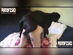 Gespritzt und ausgepeitscht: Schlampe Kerstin kommt unter Hundekontrolle