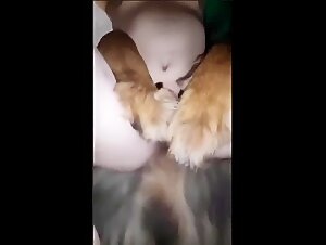 When animal instinct takes over human.