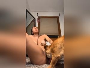 Zorra se disculpa, folla con su perro y deja corriendo a toda la familia