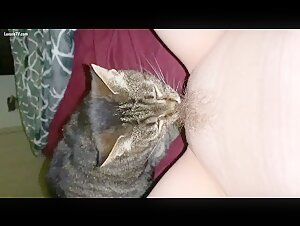Bestiality and Extreme Sex