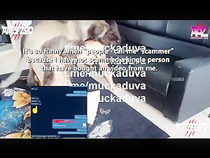 Hard and Extreme Zoophilia Videos
