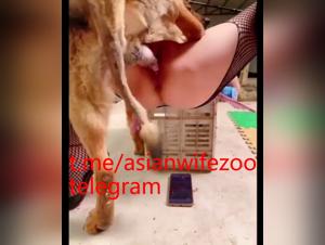 Submission and domination: wild fuck with dog