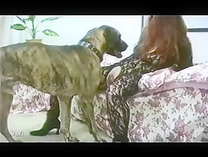 Explore the limits of bestiality with Zoobook