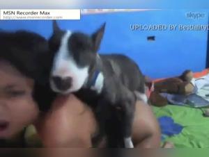 Rottweiler Dominates: Wild and Irresistible Fuck