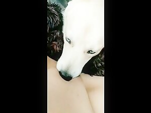 Extreme Bestiality Scene