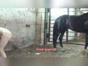 Discover the irresistible fascination with animal sex with the hottest actresses