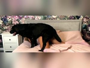 Four-Legged Pleasures