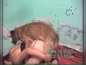 XXX animalPorno Tube, Animal Sex Animals XXX, Sluts Fucking With Animals Porn Tube