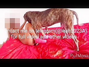 Submissive women and dogs in hard scenes