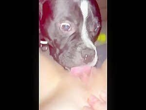 Sex video with a dog: A submissive woman and a dog in a hard scene