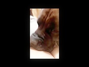 Sex Videos with Dogs Not to Be Missed