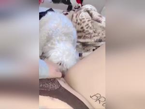 A loving relationship between a man and his dog