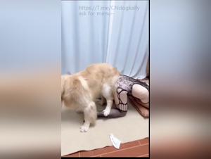 Exploitation féline :  Une femme aux aguets du plaisir canin