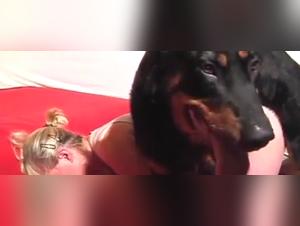 Part 1: Animal Delights and Irresistible Dedication