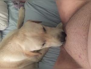Hardcore scenes of Dog Zooxnxx, Submission and Pleasure forbidden