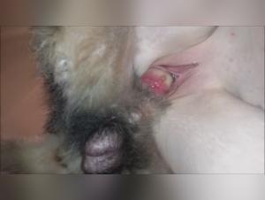 Delice Forbidden: Discovery of an Animal Desire at Icedone Milly