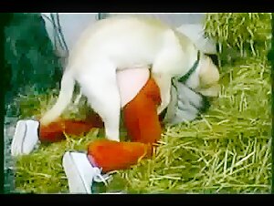 Dog sex videos: an amateur woman and her dog in a hard video