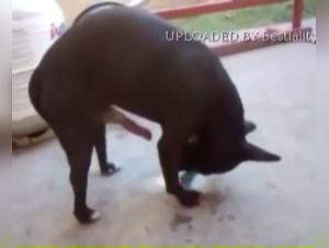 Session Bestiale sans Réserve - Partie 1