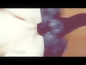 A unique and intense relationship between a dog and his mistress