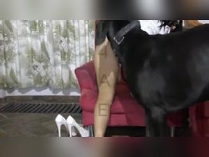 Glorious canine enjoyment: Lise delights in a moment of animal pleasure