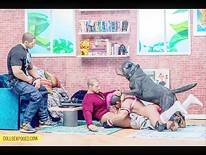 Live an Extreme Zoophilia Experience with dollsexposed