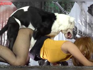 Unleashed Zoophilia