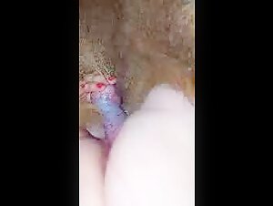Video of Extreme Sex with a Dog
